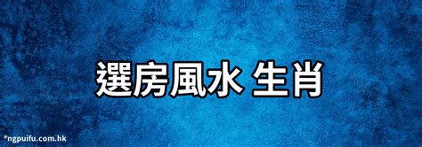 樓層 風水|買房選樓層的19個切入點 風水學上大有講究 